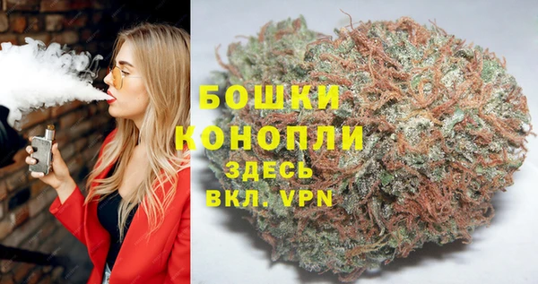 дживик Мегион