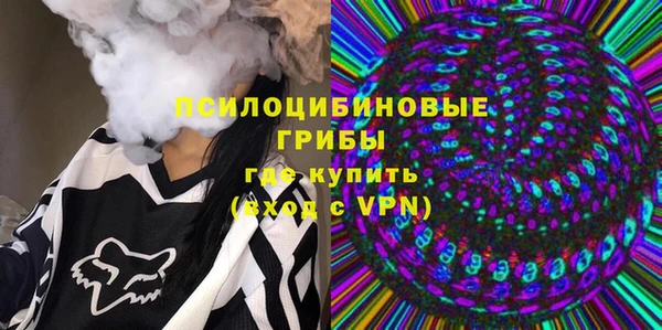 дживик Мегион