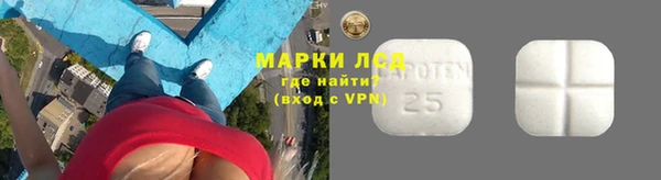 дживик Мегион