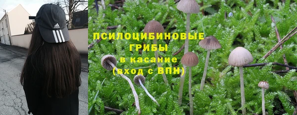 спиды Медногорск