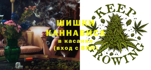 дживик Мегион