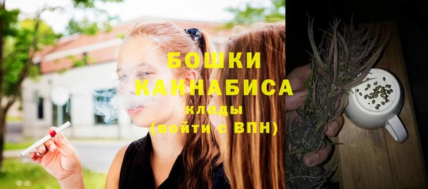 дживик Мегион